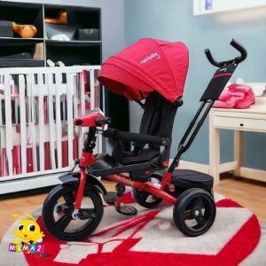 TRICICLO PASEADOR MUSICAL