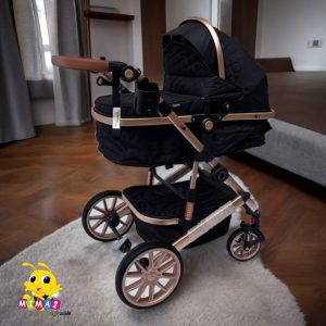 COCHE MOISES DE LUJO BRIONI